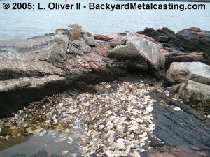 Oyster shells along the shore